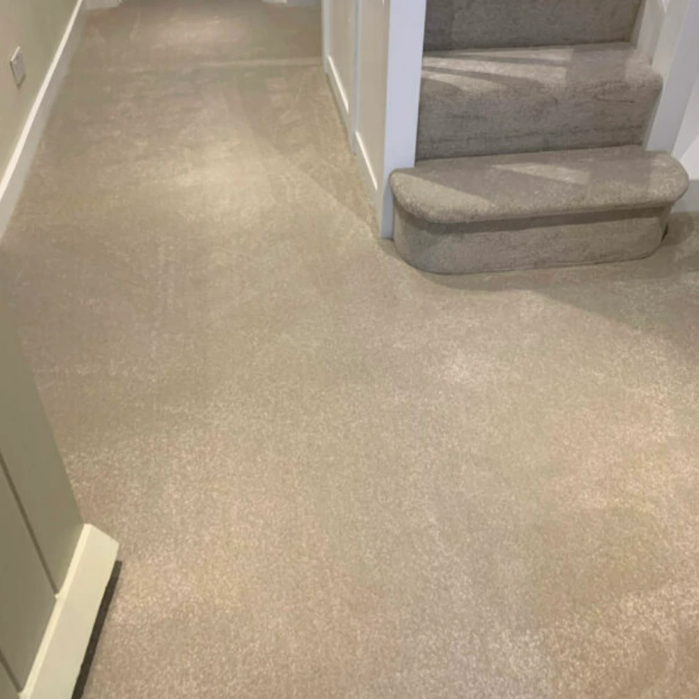 Soft Touch Saxony Carpet for plush comfort, refined interiors, and cozy flooring in Dubai
